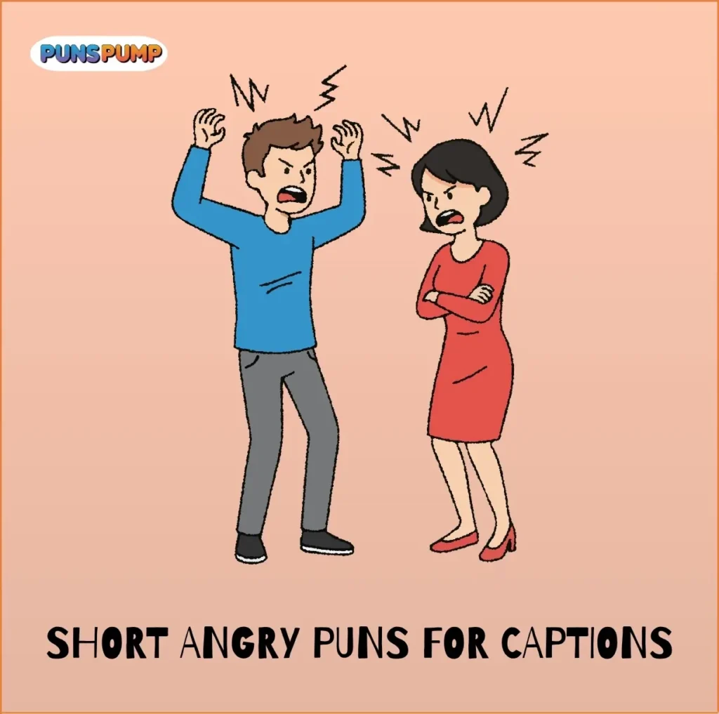 Short Angry Puns