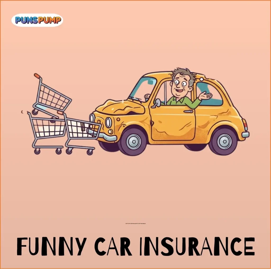 Funny Car Insurance