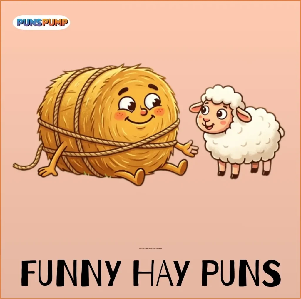 Funny Hay Puns